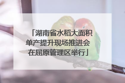 湖南省水稻大面积单产提升现场推进会在屈原管理区举行