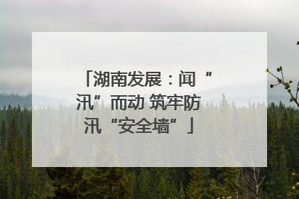 湖南发展：闻“汛”而动 筑牢防汛“安全墙”
