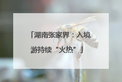 湖南张家界：入境游持续“火热”
