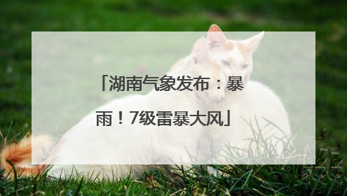 湖南气象发布：暴雨！7级雷暴大风
