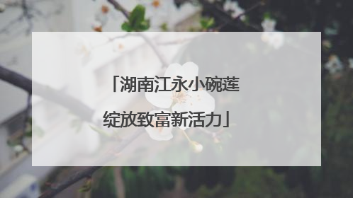 湖南江永小碗莲绽放致富新活力