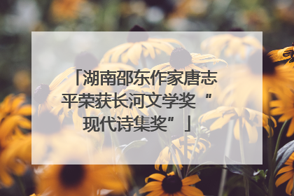 湖南邵东作家唐志平荣获长河文学奖“现代诗集奖”