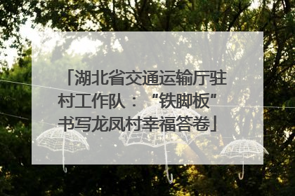 湖北省交通运输厅驻村工作队：“铁脚板”书写龙凤村幸福答卷