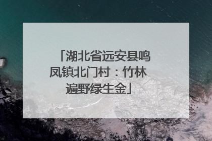湖北省远安县鸣凤镇北门村：竹林遍野绿生金