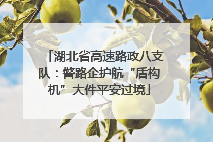 湖北省高速路政八支队：警路企护航“盾构机”大件平安过境