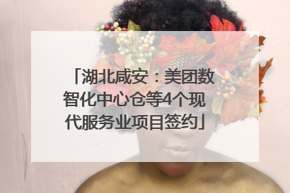 湖北咸安：美团数智化中心仓等4个现代服务业项目签约