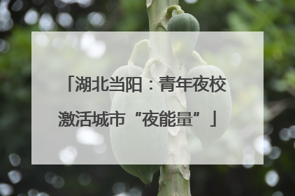 湖北当阳：青年夜校激活城市“夜能量”