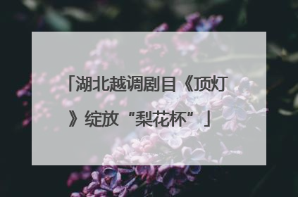 湖北越调剧目《顶灯》绽放“梨花杯”