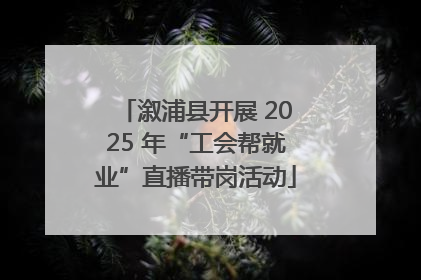 溆浦县开展 2025 年“工会帮就业”直播带岗活动