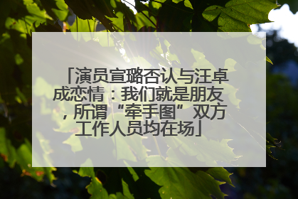 演员宣璐否认与汪卓成恋情：我们就是朋友，所谓“牵手图”双方工作人员均在场