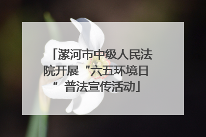 漯河市中级人民法院开展“六五环境日”普法宣传活动