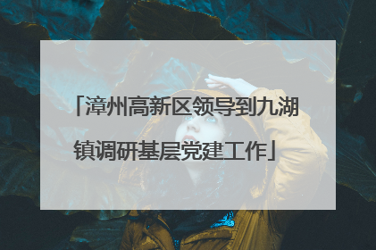 漳州高新区领导到九湖镇调研基层党建工作