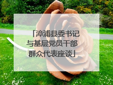漳浦县委书记与基层党员干部群众代表座谈