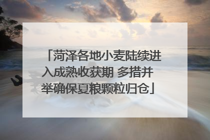菏泽各地小麦陆续进入成熟收获期 多措并举确保夏粮颗粒归仓