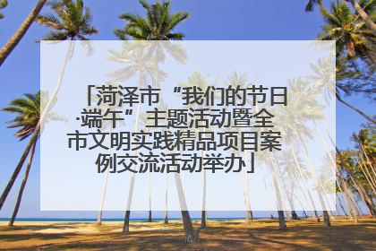 菏泽市“我们的节日·端午”主题活动暨全市文明实践精品项目案例交流活动举办