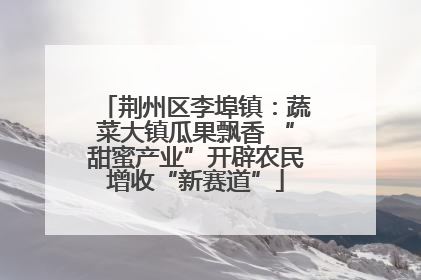 荆州区李埠镇：蔬菜大镇瓜果飘香 “甜蜜产业”开辟农民增收“新赛道”