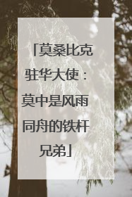 莫桑比克驻华大使：莫中是风雨同舟的铁杆兄弟