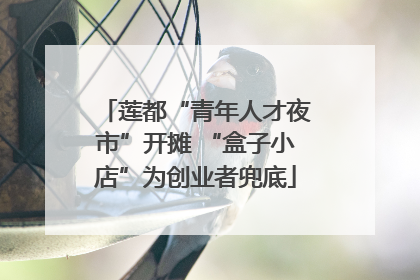 莲都“青年人才夜市”开摊 “盒子小店”为创业者兜底