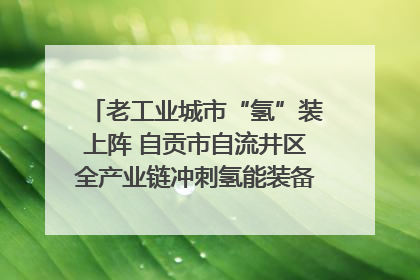 老工业城市“氢”装上阵 自贡市自流井区全产业链冲刺氢能装备制造新高地｜美好生活有“盐”味