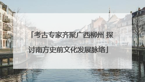 考古专家齐聚广西柳州 探讨南方史前文化发展脉络