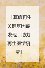 耳廓再生关键基因被发现，助力再生医学研究