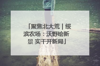 聚焦北大荒｜绥滨农场：沃野绘新景 实干开新局