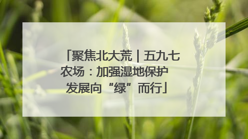 聚焦北大荒｜五九七农场：加强湿地保护 发展向“绿”而行