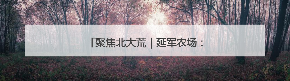 聚焦北大荒｜延军农场：飞防出击 “一喷多效”