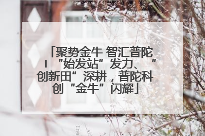 聚势金牛 智汇普陀〡“始发站”发力、“创新田”深耕，普陀科创“金牛”闪耀