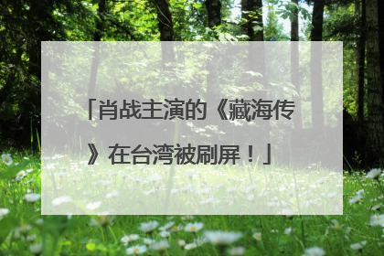 肖战主演的《藏海传》在台湾被刷屏！
