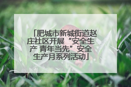 肥城市新城街道赵庄社区开展“安全生产 青年当先”安全生产月系列活动