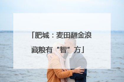 肥城：麦田翻金浪藏粮有“智”方