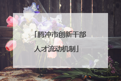 腾冲市创新干部人才流动机制