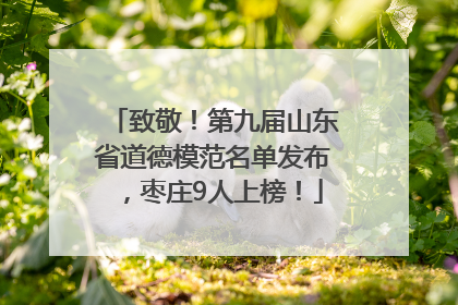 致敬！第九届山东省道德模范名单发布，枣庄9人上榜！