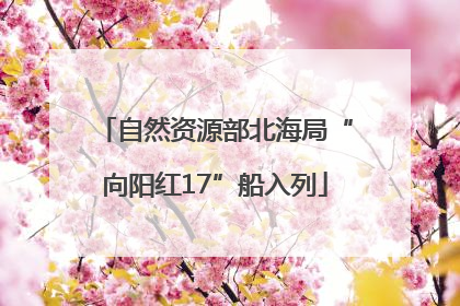 自然资源部北海局“向阳红17”船入列