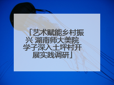 艺术赋能乡村振兴 湖南师大美院学子深入土坪村开展实践调研