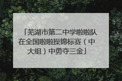 芜湖市第二中学啦啦队在全国啦啦操锦标赛（中大组）中勇夺三金