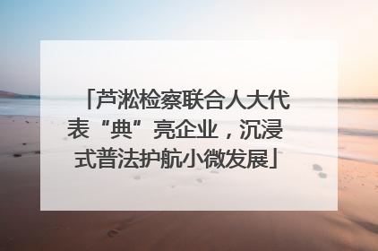 芦淞检察联合人大代表“典”亮企业，沉浸式普法护航小微发展