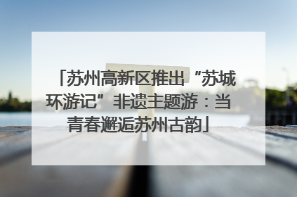 苏州高新区推出“苏城环游记”非遗主题游：当青春邂逅苏州古韵