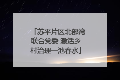 苏平片区北部湾联合党委 激活乡村治理一池春水