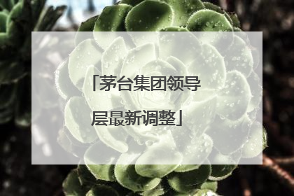 茅台集团领导层最新调整