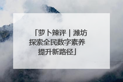 萝卜辣评｜潍坊探索全民数字素养提升新路径
