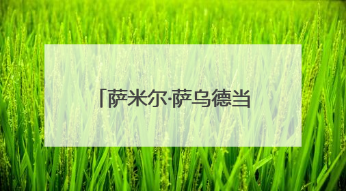 萨米尔·萨乌德当选巴西足协主席