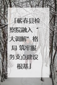 蕲春县检察院融入“大调解”格局 筑牢服务支点建设根基