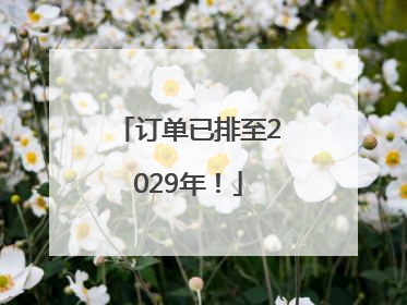 订单已排至2029年！
