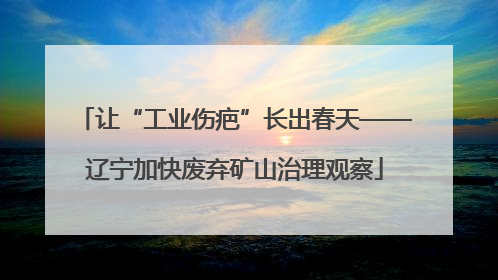 让“工业伤疤”长出春天——辽宁加快废弃矿山治理观察