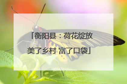 衡阳县：荷花绽放 美了乡村 富了口袋