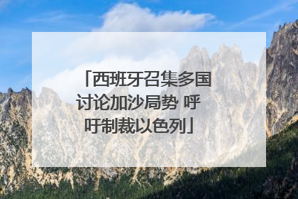西班牙召集多国讨论加沙局势 呼吁制裁以色列