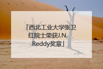 西北工业大学张卫红院士荣获J.N.Reddy奖章
