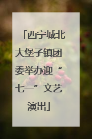 西宁城北大堡子镇团委举办迎“七一”文艺演出